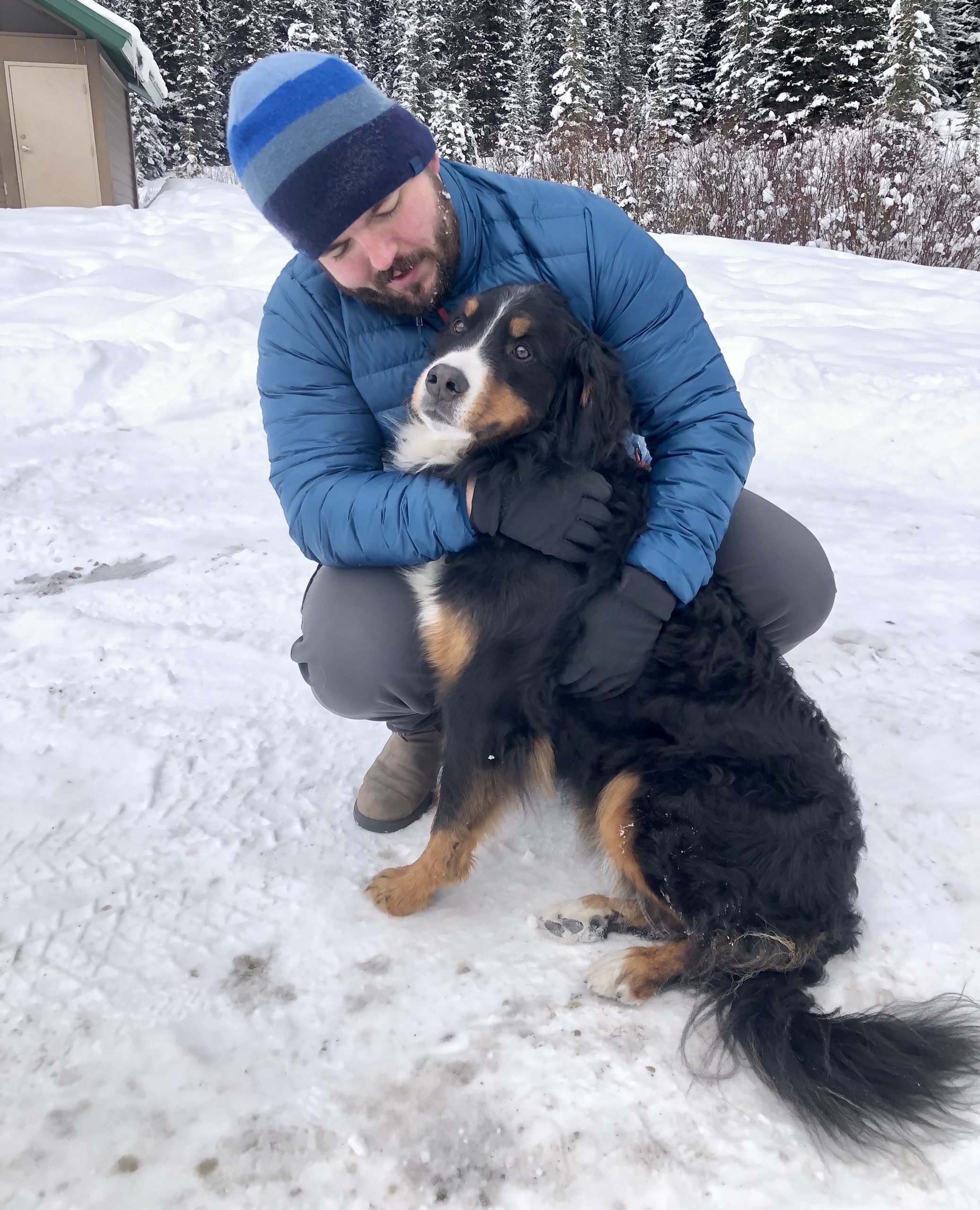 Man and Bernese mountain dog on winter day