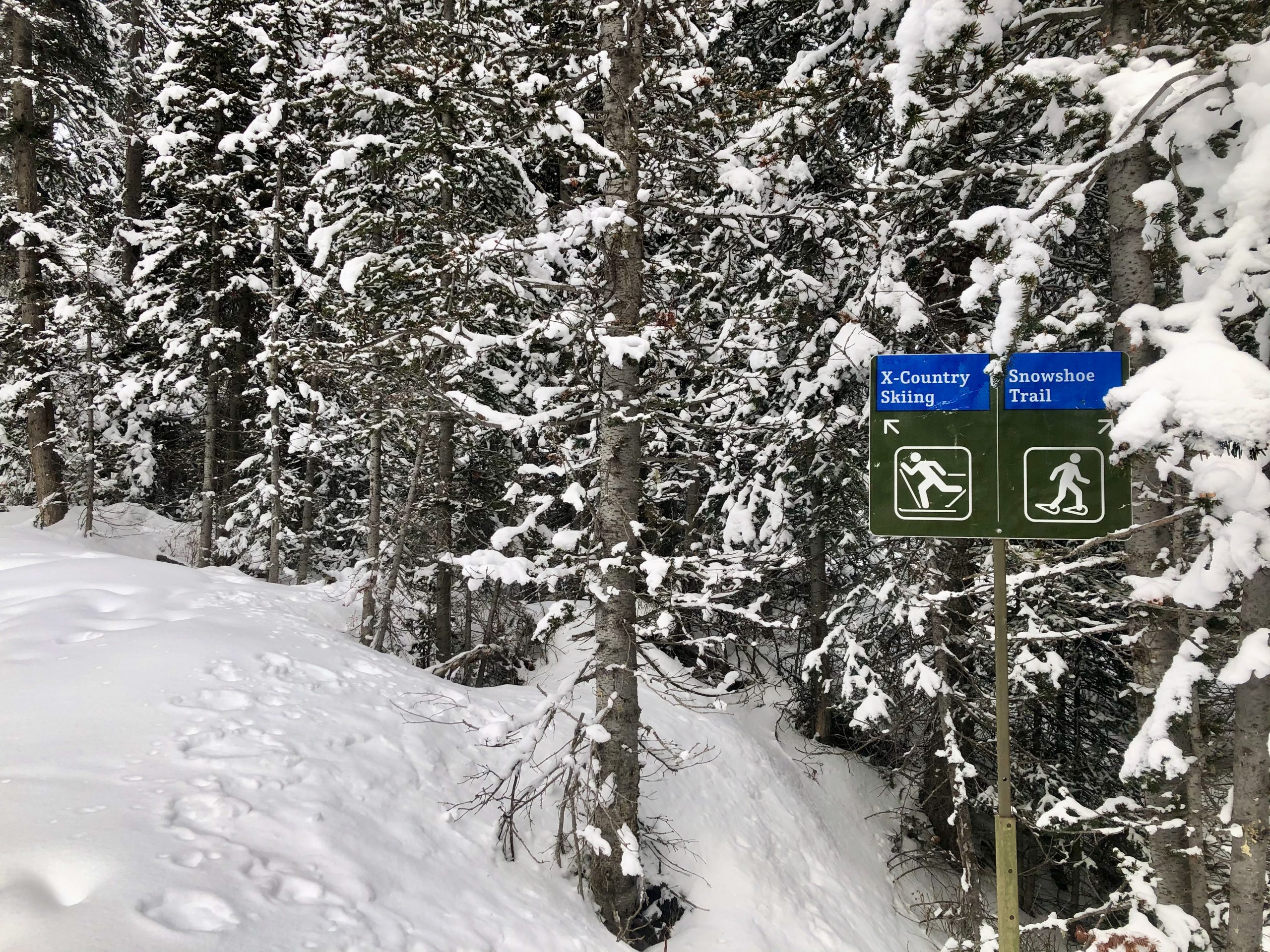 Signs on the Chester Lake trail