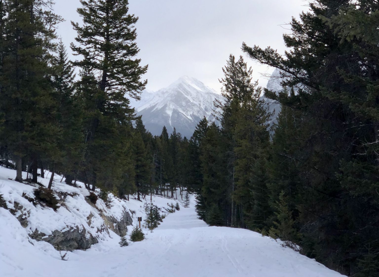 Tunnel Mountain Trail Winter Hiking in Banff, Alberta Out and Across