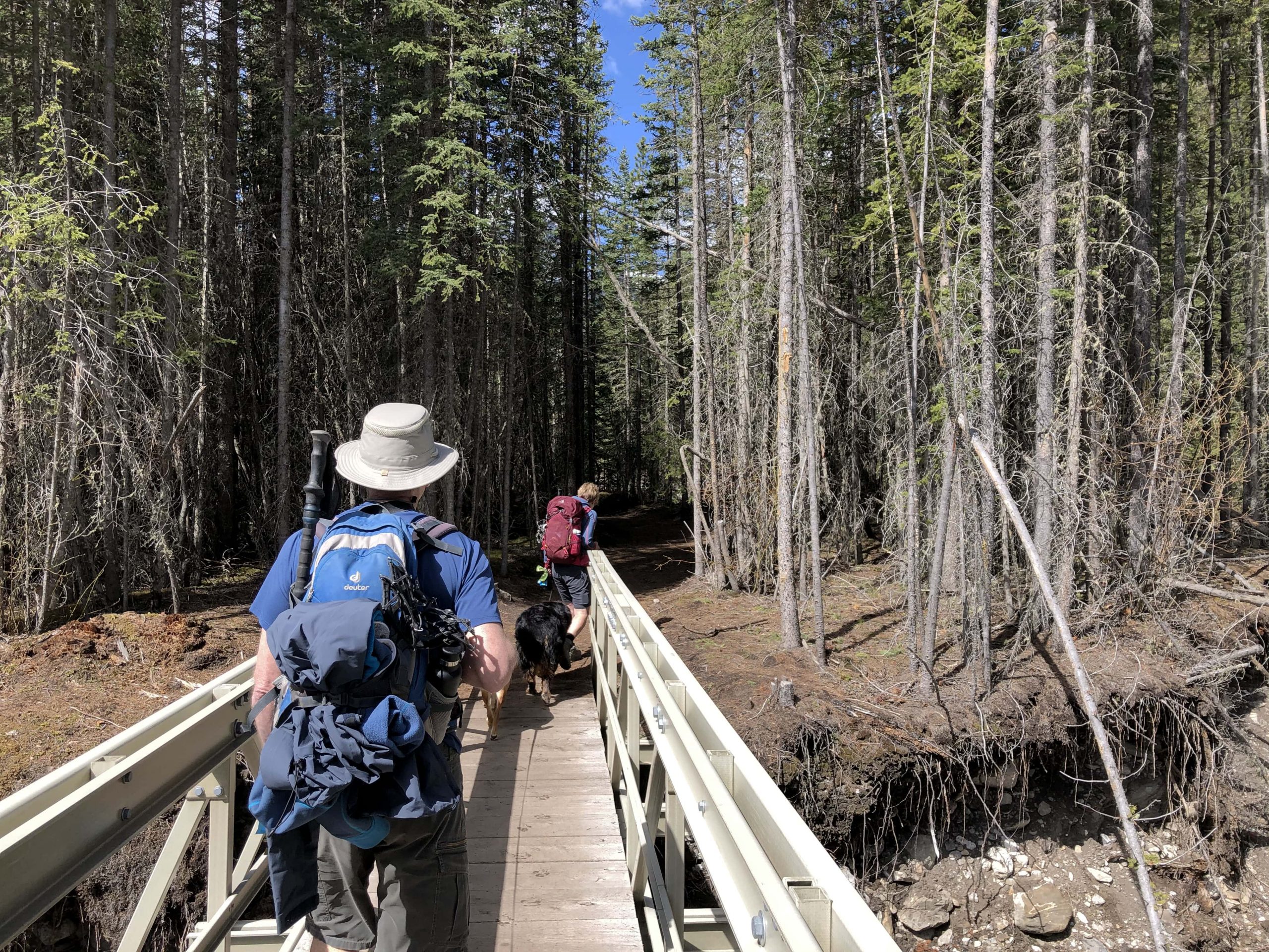 Ribbon Falls Hike in Kananaskis, Alberta Out & Across