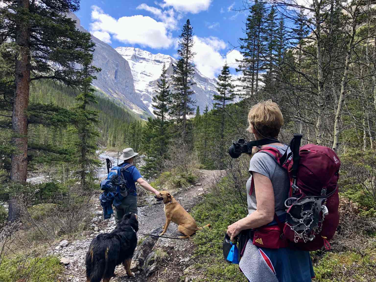Ribbon Falls Hike in Kananaskis, Alberta Out & Across