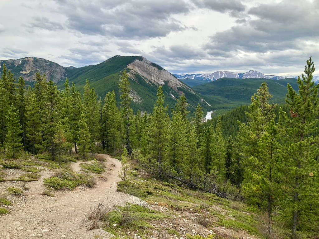 Prairie Mountain hike treeline