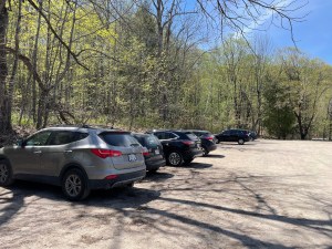 Wolf Trail Hike: One of the Best Trails in Gatineau Park - Out & Across
