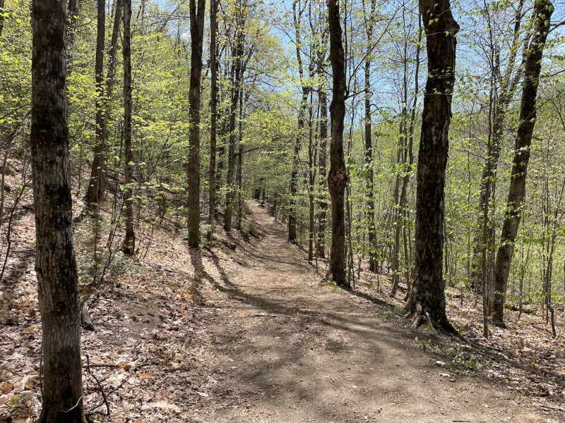 Wolf Trail: One of the Best Gatineau Park Trails - Out & Across