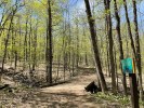Wolf Trail Hike: One of the Best Trails in Gatineau Park - Out & Across