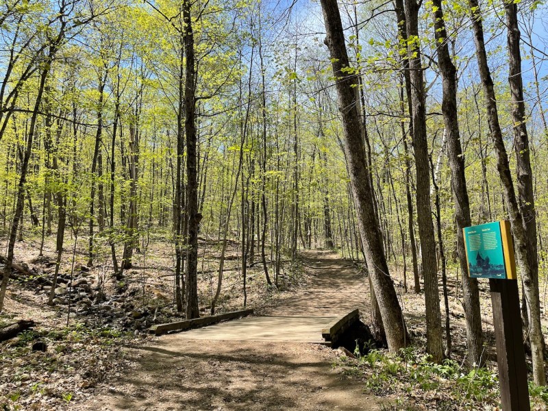 Wolf Trail Hike: One of the Best Trails in Gatineau Park - Out & Across
