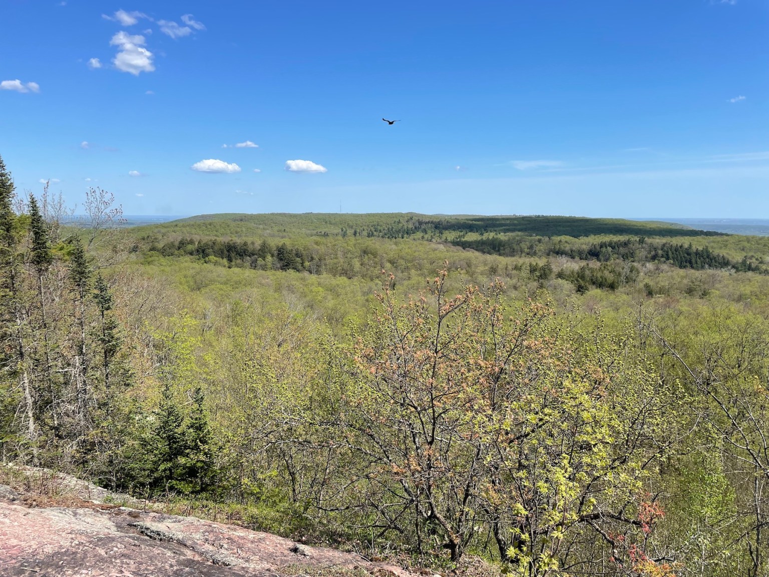 Wolf Trail Hike: One of the Best Trails in Gatineau Park - Out & Across
