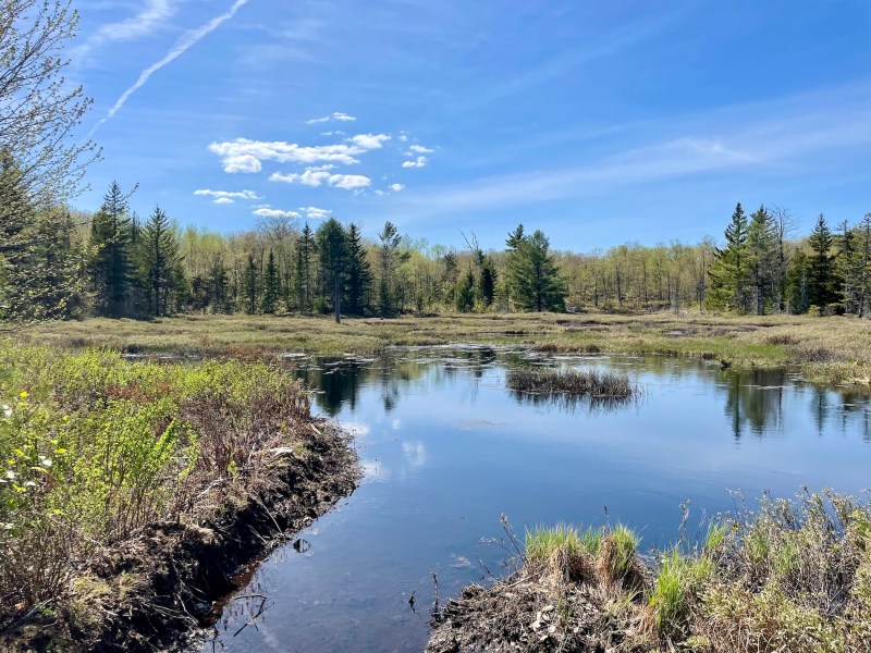 Wolf Trail Hike: One of the Best Trails in Gatineau Park - Out & Across