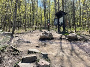 Wolf Trail Hike: One of the Best Trails in Gatineau Park - Out & Across