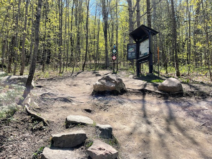 Wolf Trail Hike: One of the Best Trails in Gatineau Park - Out & Across