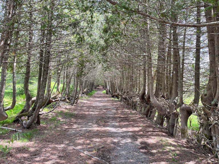 Ministers Island Loop Near St. Andrews, New Brunswick Out & Across