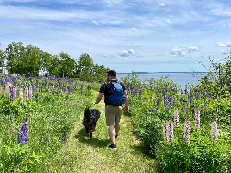 Ministers Island Loop Near St. Andrews, New Brunswick Out & Across
