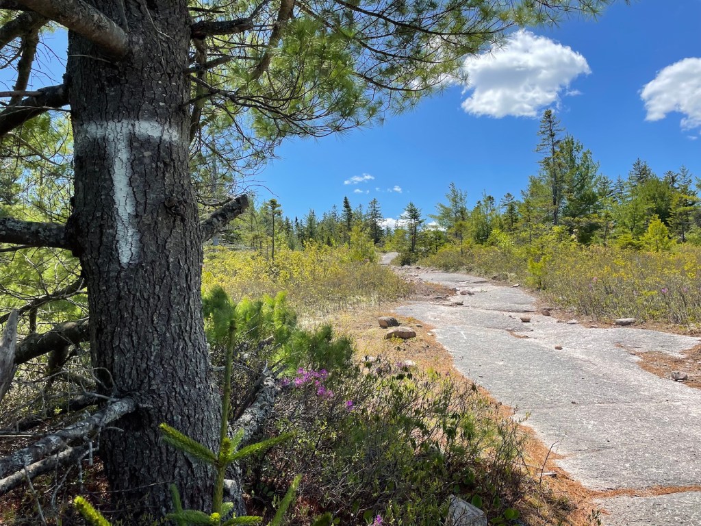 Turtle Mountain hike marker
