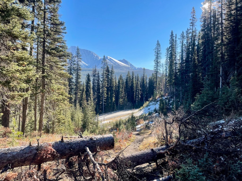 Tent Ridge hike trailhead