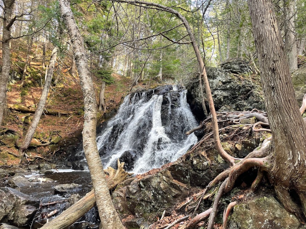 Saint Paddy's Falls hike in NB