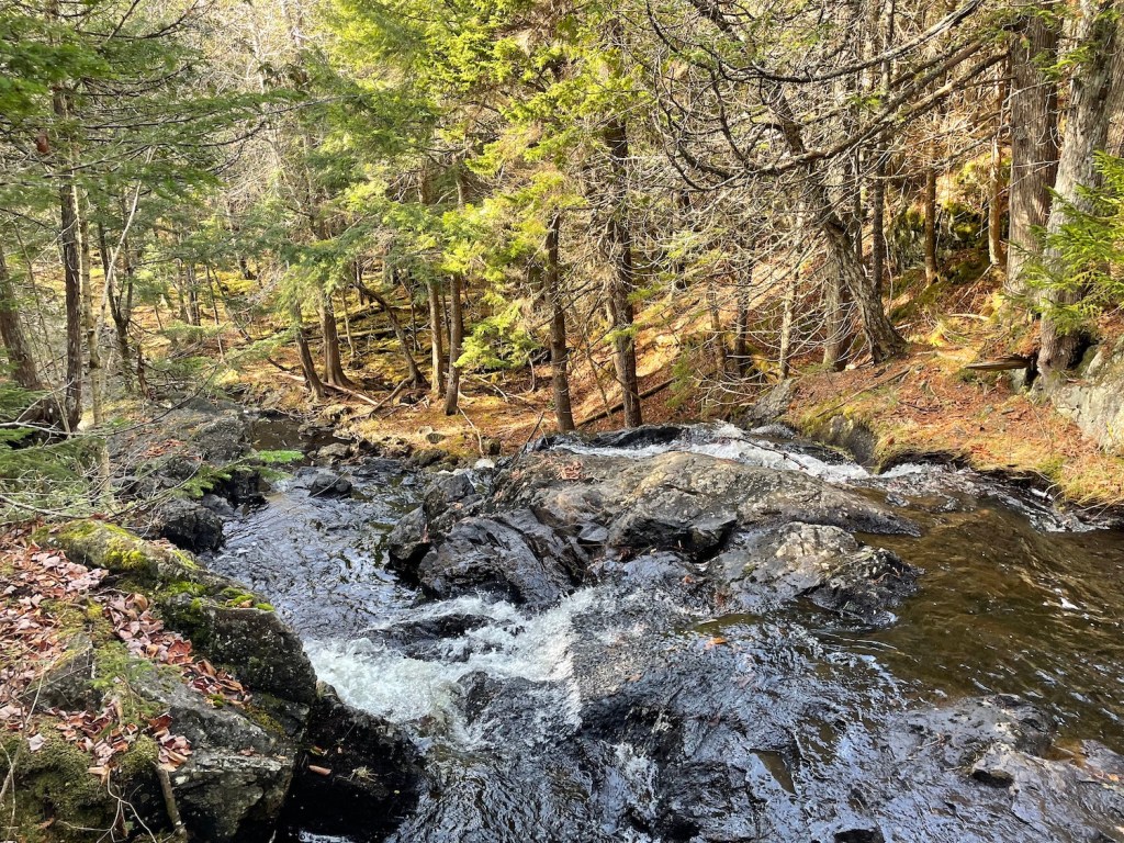 Saint Paddy's Falls hiking in New Brunswick