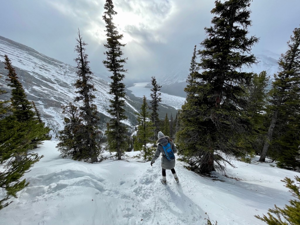Little Lougheed hike descent