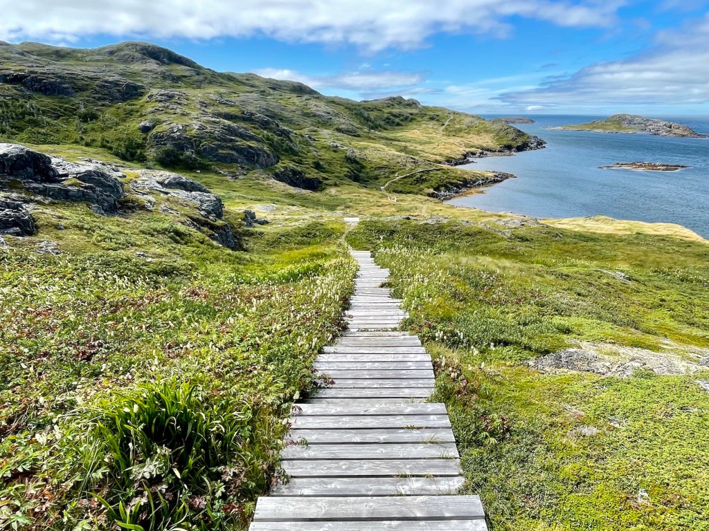 Lion's Den Trail on Fogo 