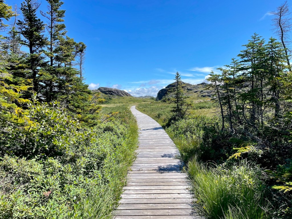 Lion's Den Trail board walk