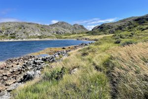 Lion’s Den Trail: One of the Best Fogo Island Hikes