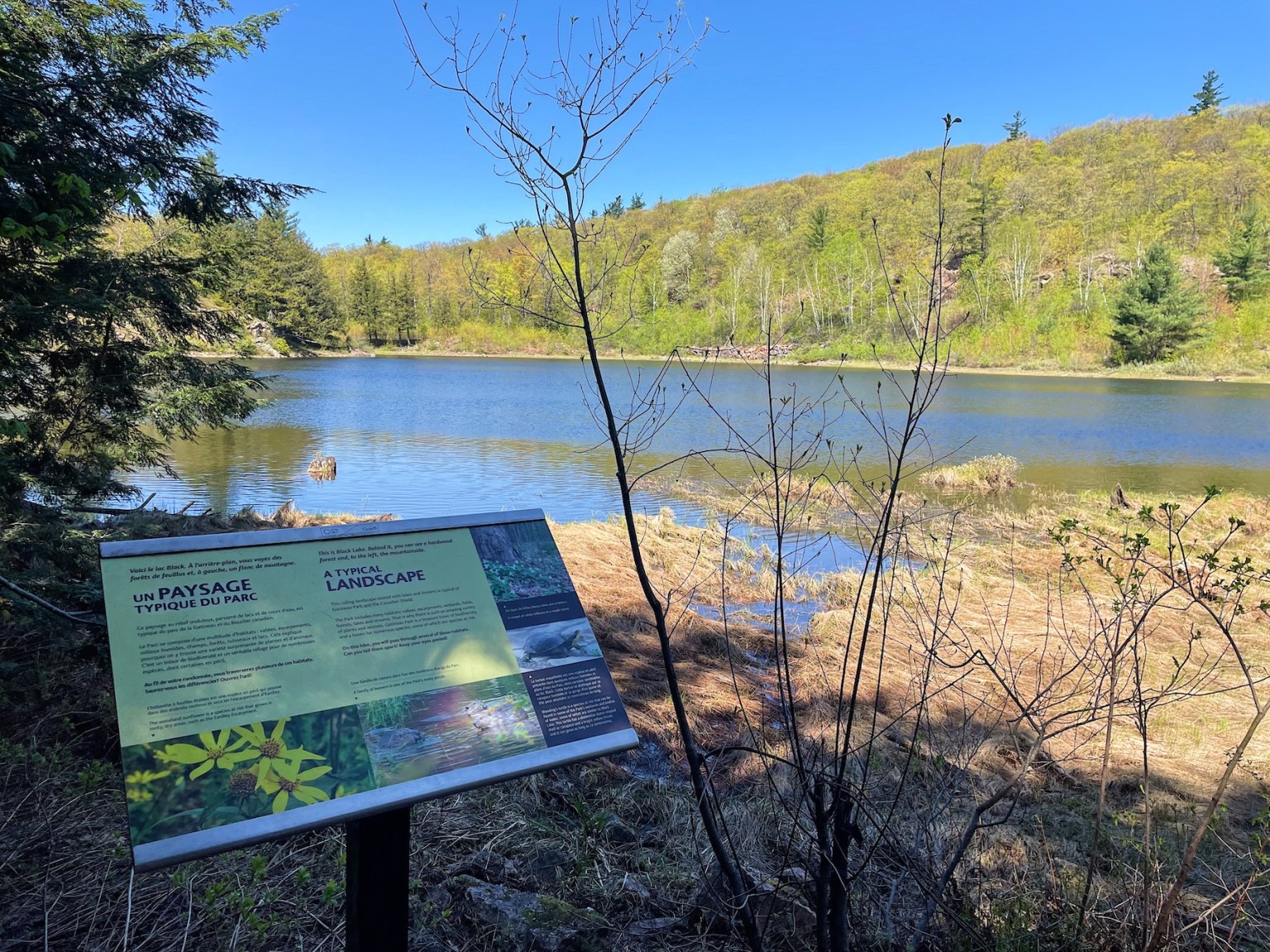 King Mountain Hike in Gatineau Park in Quebec - Out & Across