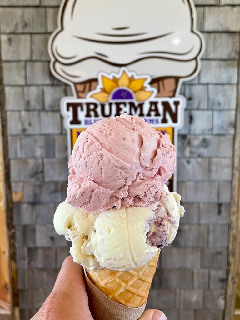 Best ice cream in New Brunswick