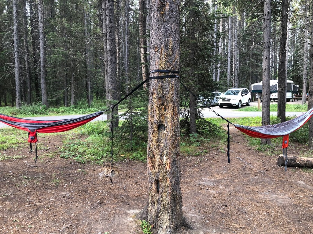 Hammocks at Boulton Creek Campground