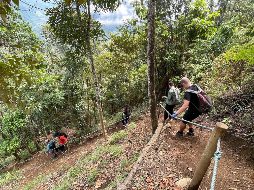 Cerro Tusa hike downhill