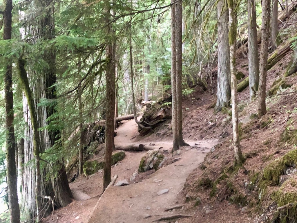 Nairn Falls hike in the forest