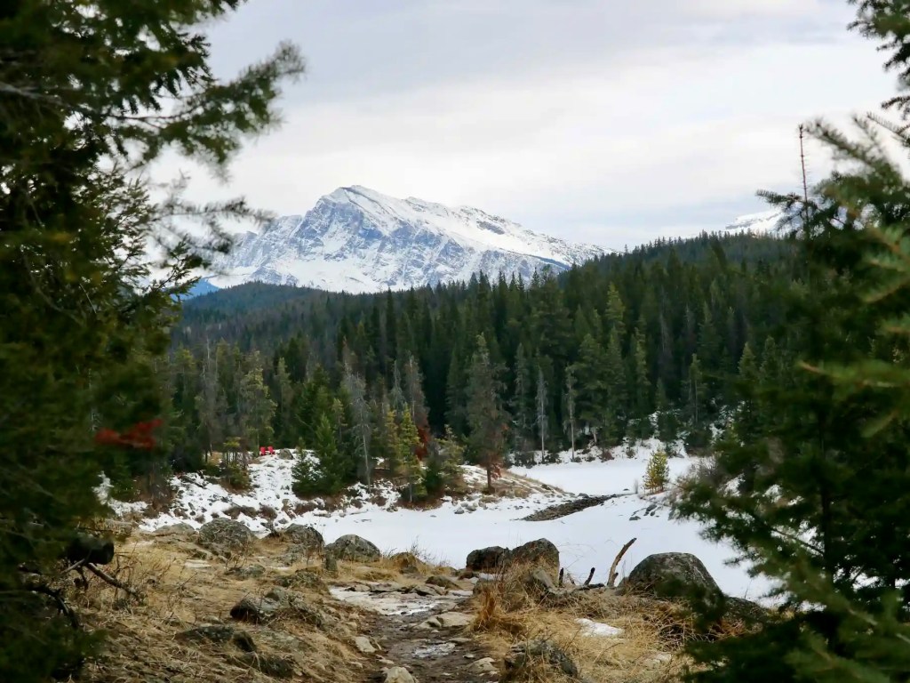 Valley of the Five Lakes hike in Jasper