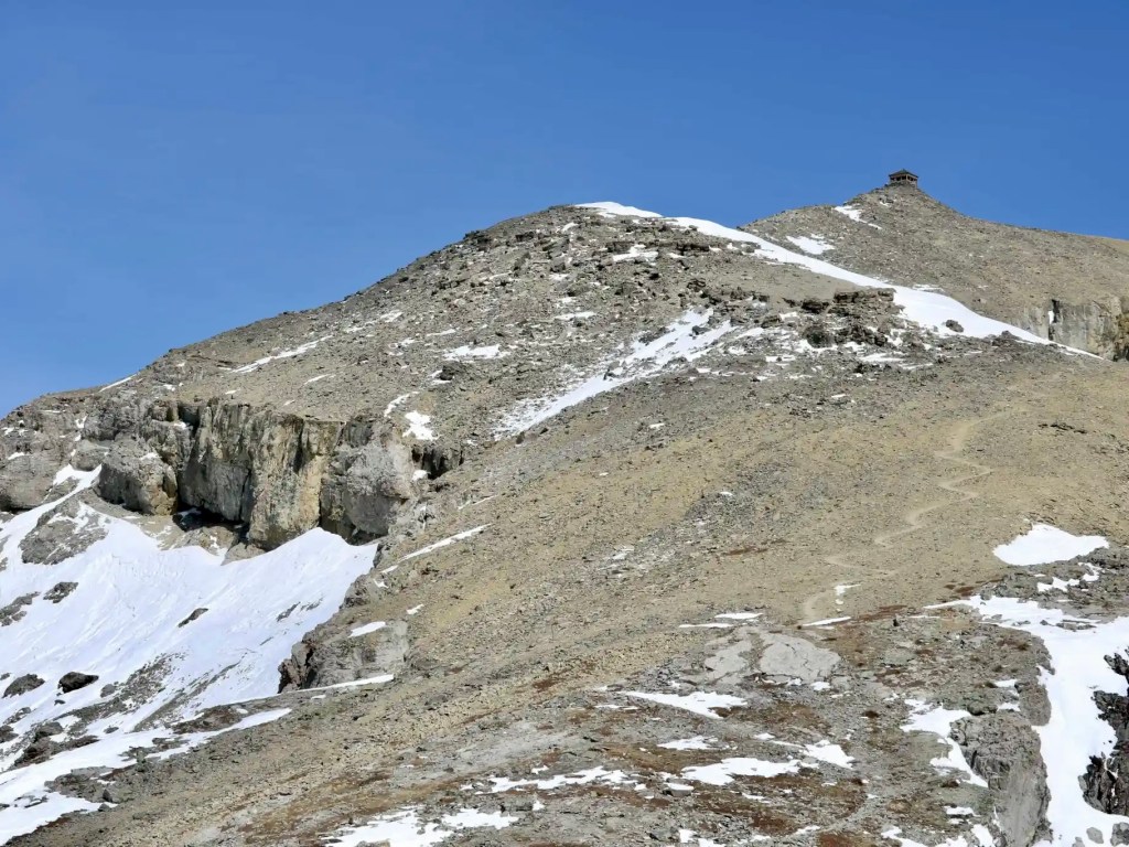 Mount Burke hike to the top