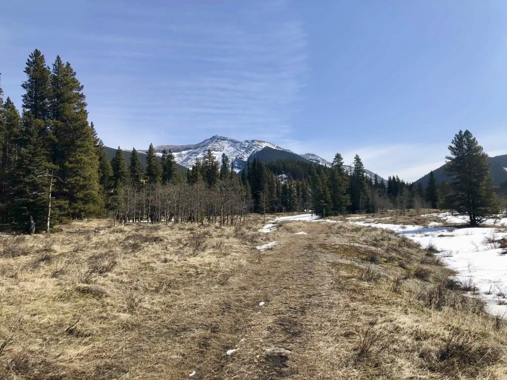 Mount Burke hike trailhead