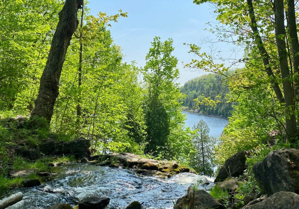 Bruce Trail hikes in Ontario