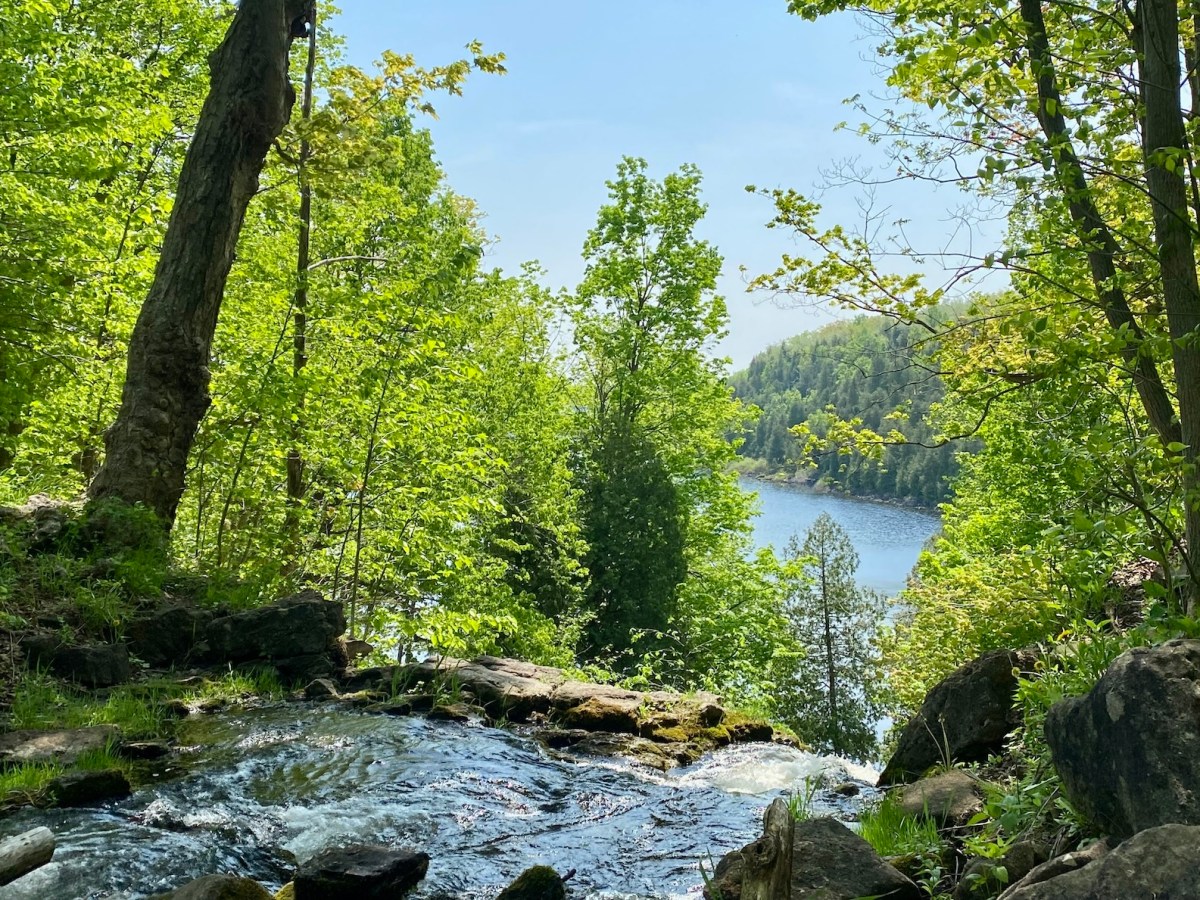 Bruce Trail Hikes: 40 Loopy Hiking Trails in Ontario
