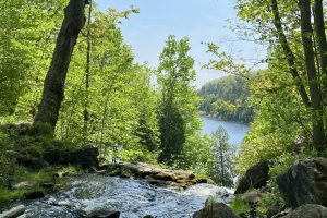 Bruce Trail Hikes: 40 Loopy Hiking Trails in Ontario