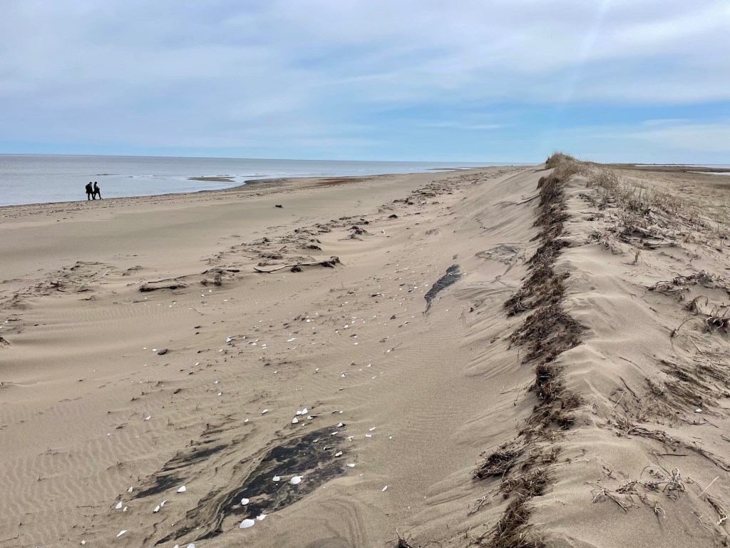 Bouctouche Dunes hike in New Brunswick
