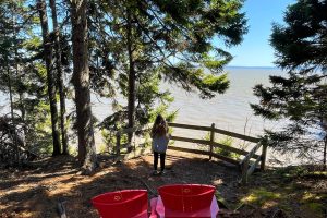 Coastal Trail to Matthews Head: Hiking in Fundy National Park