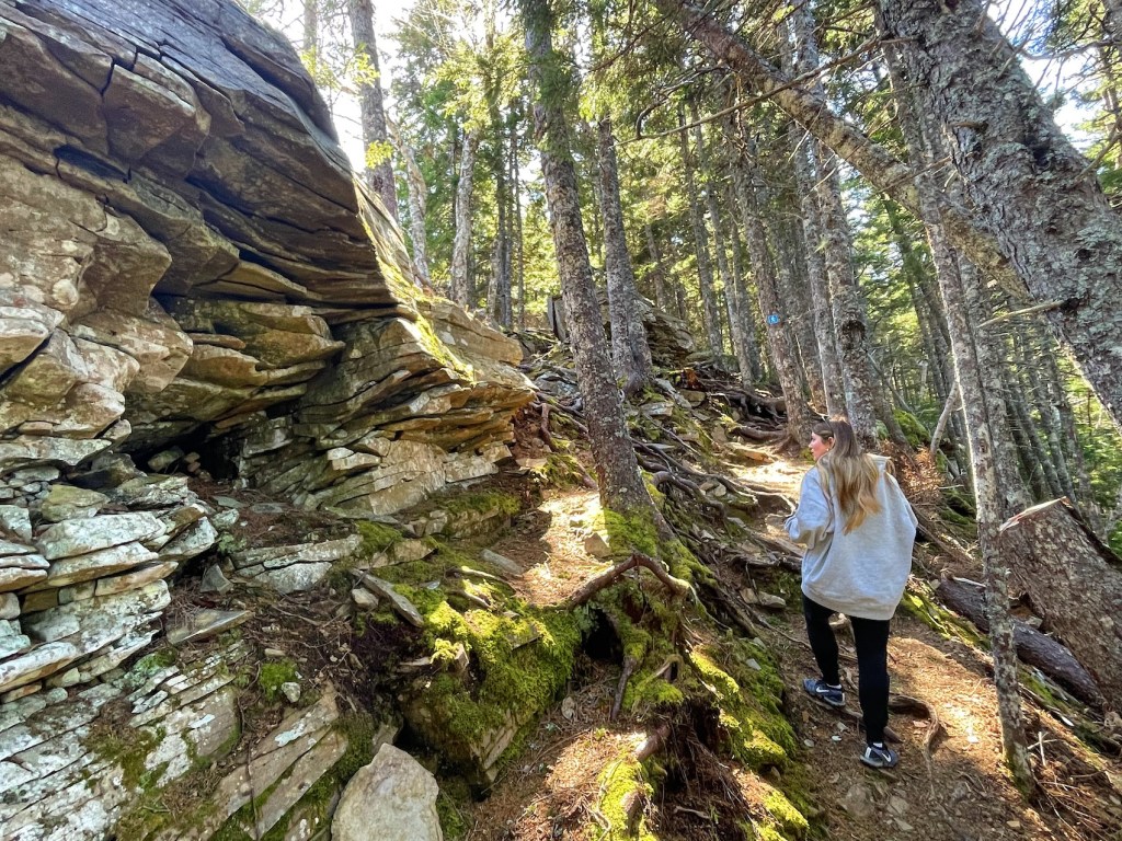 Costal Trail to Matthews Head hiking in Fundy National Park