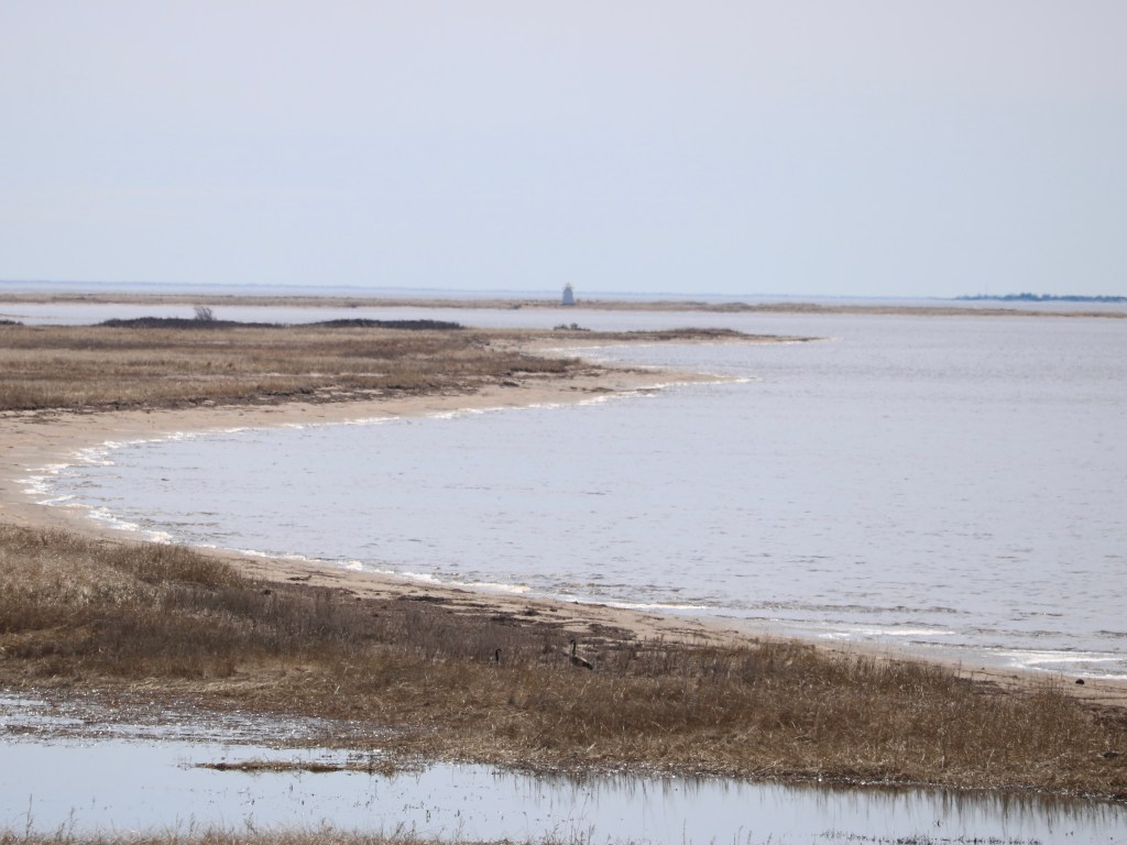Bouctouche Dunes lighthouse views