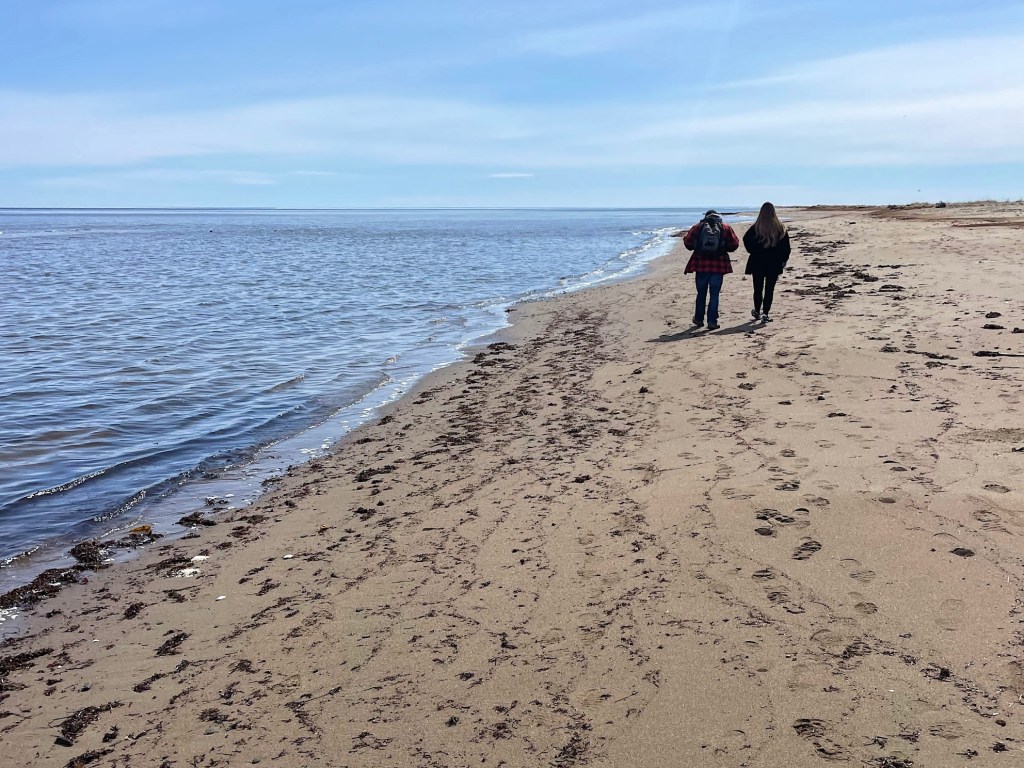 Bouctouche Dunes sandy beach