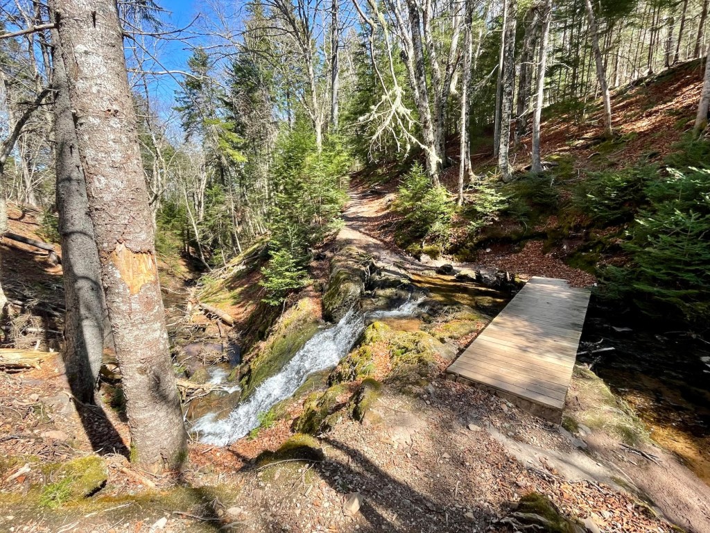 Costal Trail to Matthews Head hiking in Fundy Park