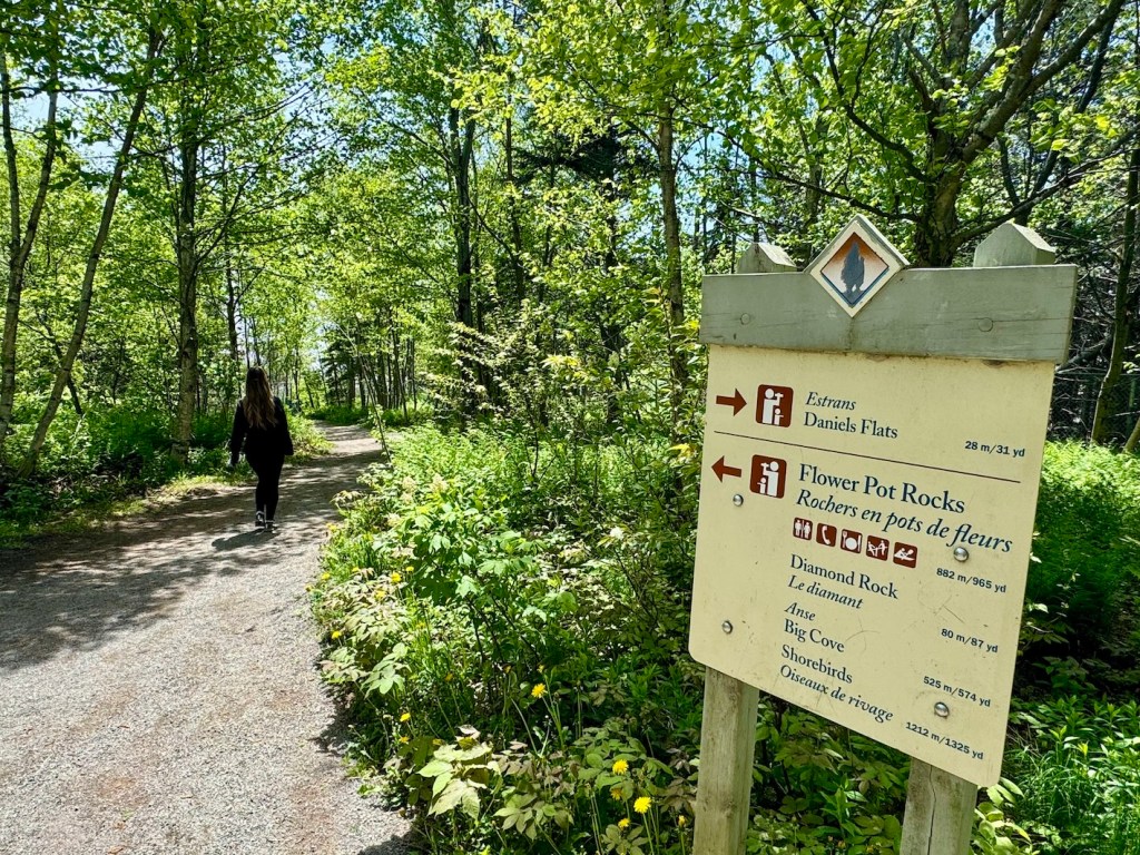 Hopewell Rocks signs