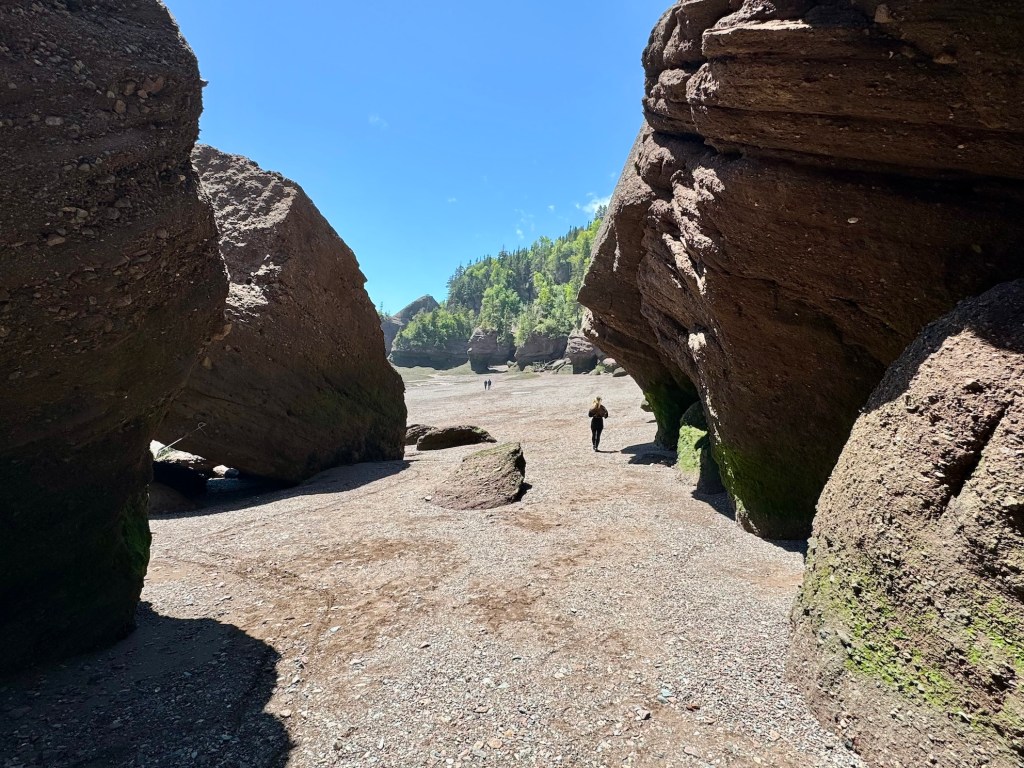 Walking the beach at Hopewell Rocks
