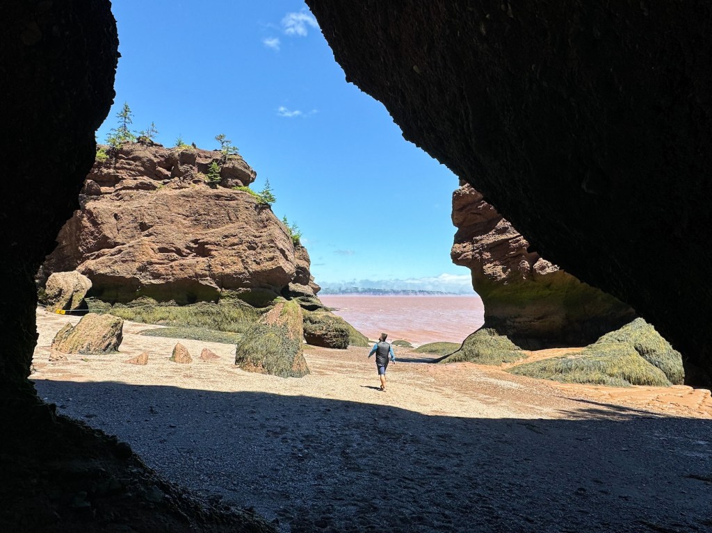 View of Hopewell Rocks