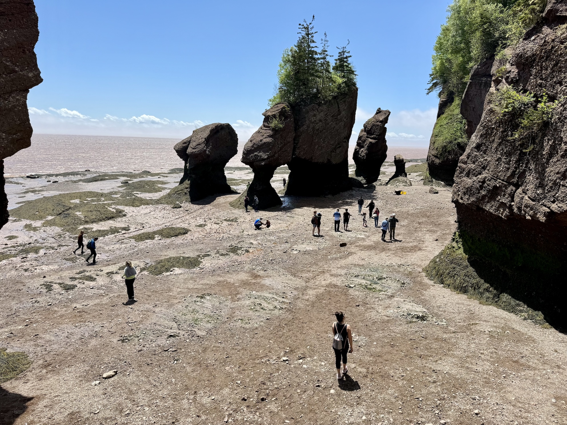 Hopewell Rocks: Natural Attraction in New Brunswick - Out & Across