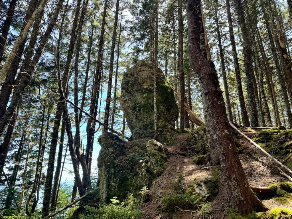 Dragon's Tooth on Fundy Footpath