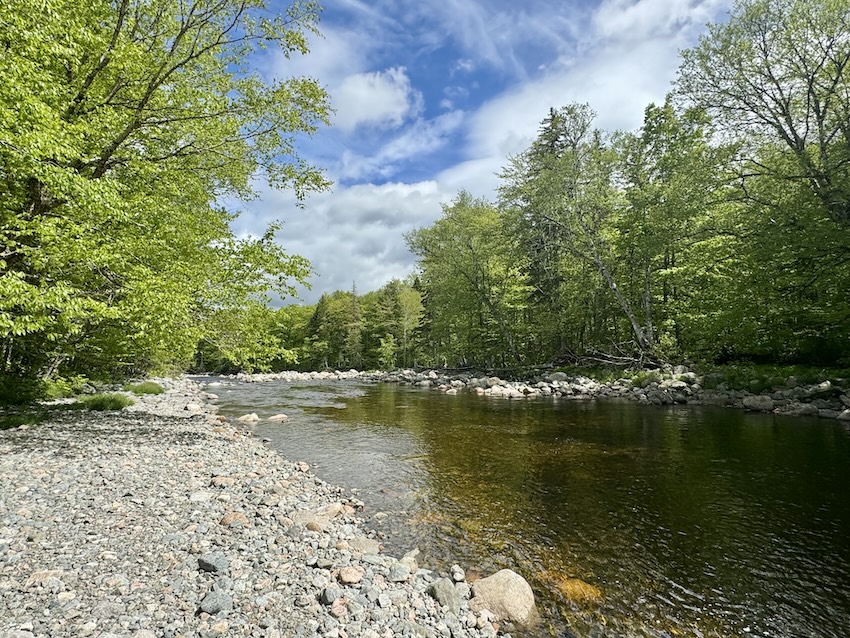 North River Falls Trail by the river
