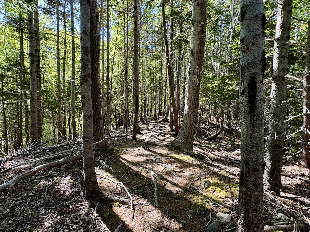 Tenerife Mountain hike trailhead