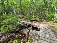 Franey Trail Hike in Cape Breton Highlands National Park - Out & Across