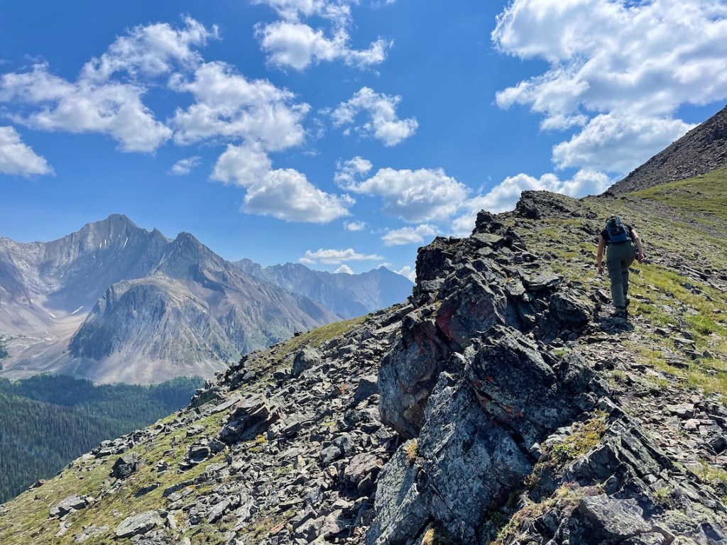 Highwood Ridge hike views